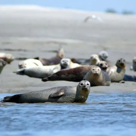 Le Loft Des Marais Apartment