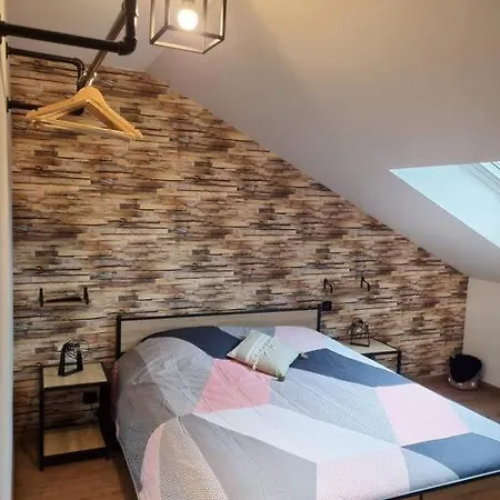 Le Loft Des Marais Apartment *