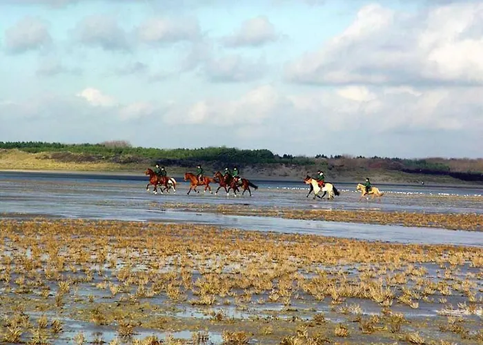 Le Loft Des Marais Appartement Mers-les-Bains
