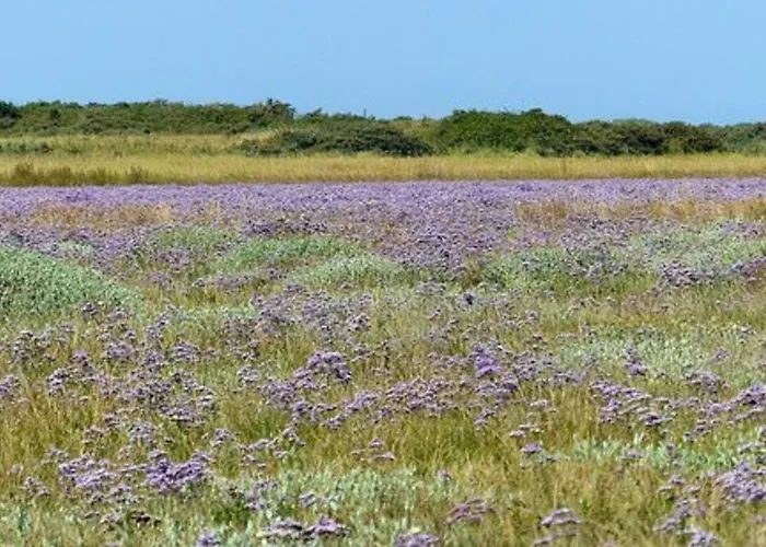Le Loft Des Marais Appartement Mers-les-Bains