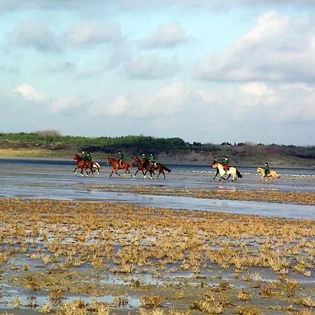 Le Loft Des Marais 公寓 梅尔·莱斯·拜恩斯