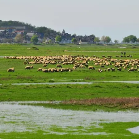 Le Loft Des Marais * 梅尔·莱斯·拜恩斯