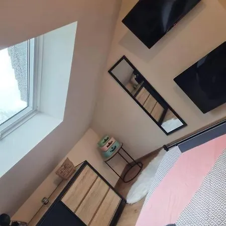 公寓 Le Loft Des Marais 梅尔·莱斯·拜恩斯