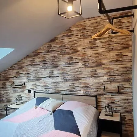 公寓 Le Loft Des Marais