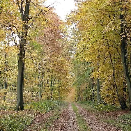 公寓 Le Loft Des Marais