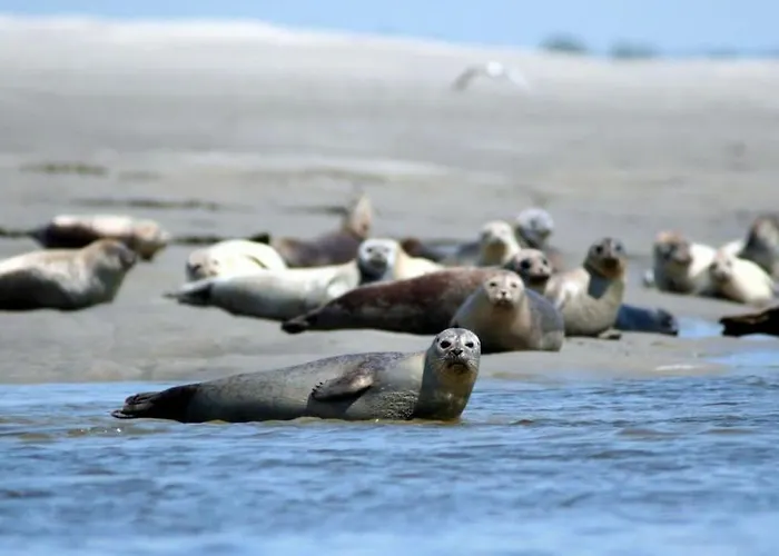 Le Loft Des Marais Appartement
