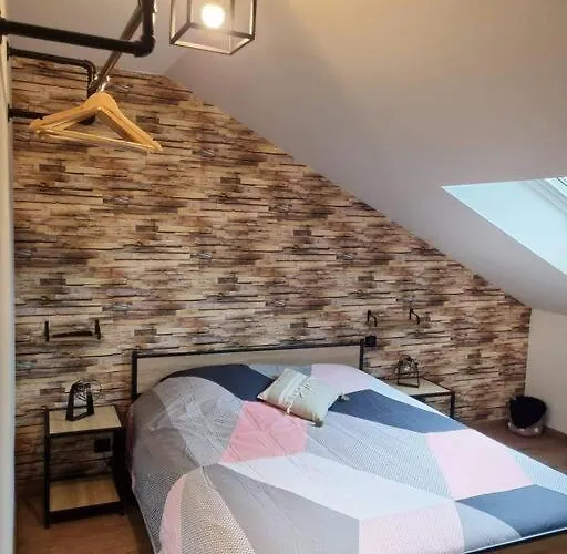 Le Loft Des Marais Appartement *