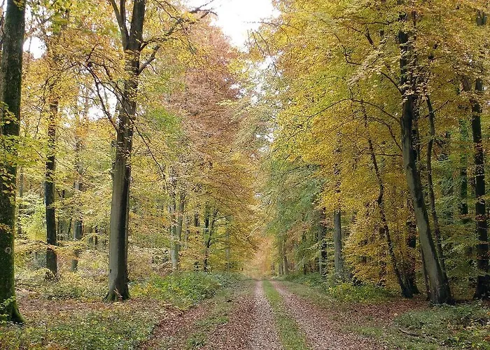 Appartement Le Loft Des Marais